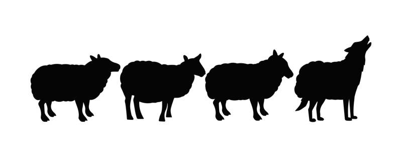 The Sheeps Clothing Club