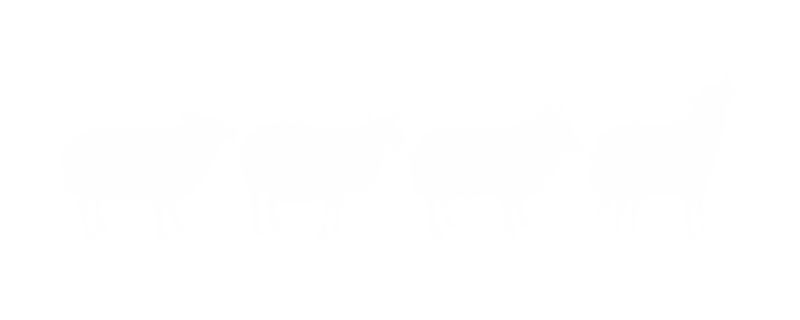 The Sheeps Clothing Club