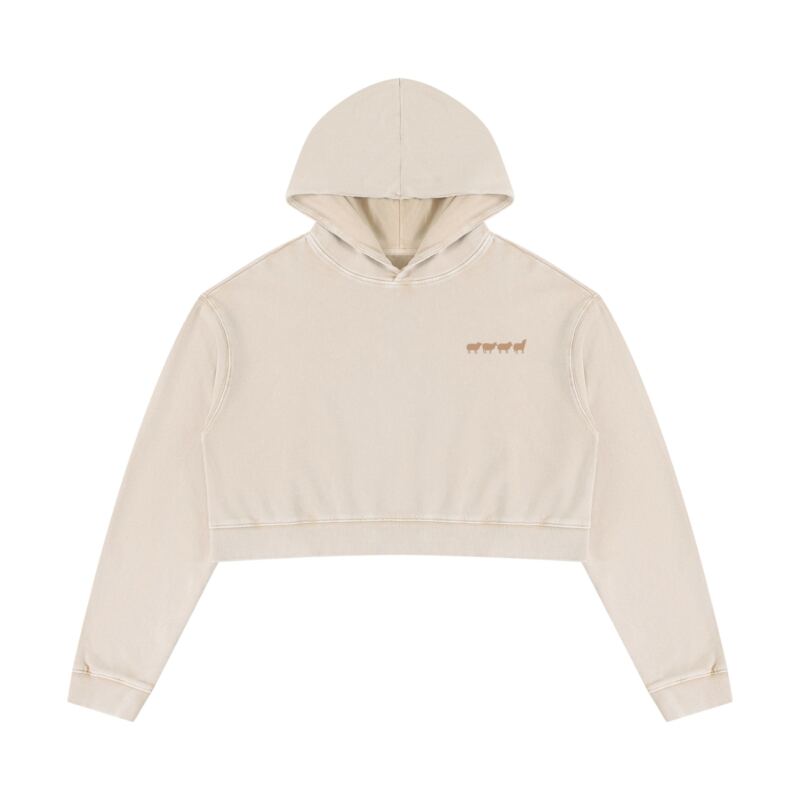 TSCC Mineral Washed Crop Hoodie