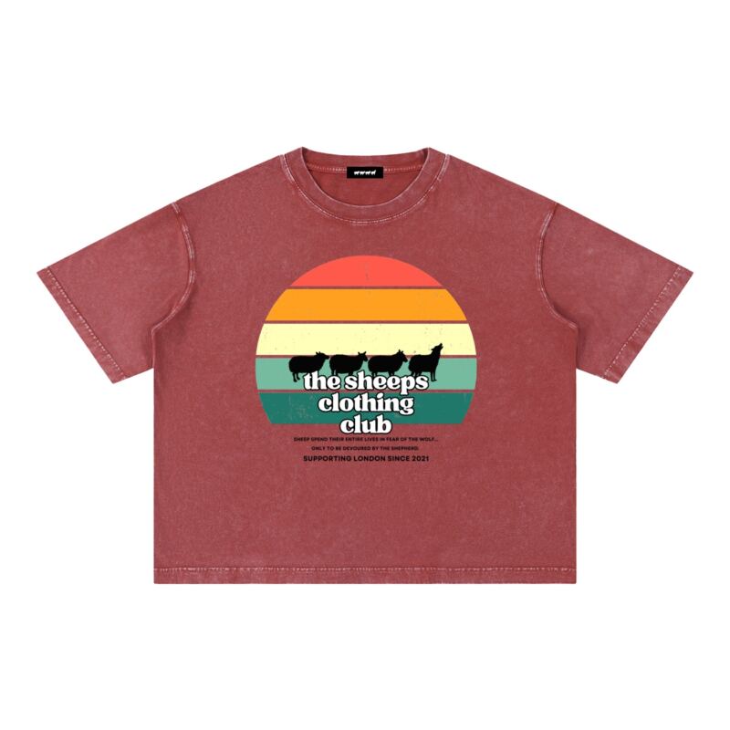 Horizon Mineral Wash Boxy Tee